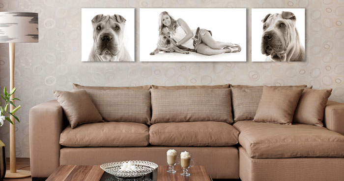 Dog photo artwork