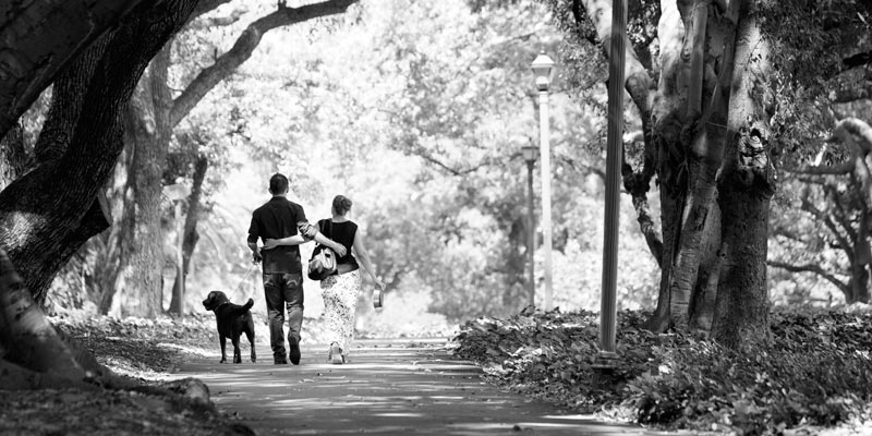 Couple in Hyde Park Perth