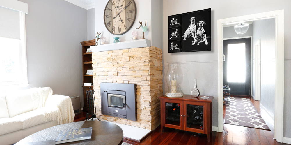 Pet Artwork in lounge room