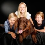 Pet dog family portrait